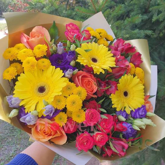 Девичий восторг