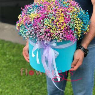 Радуга из гипсофил